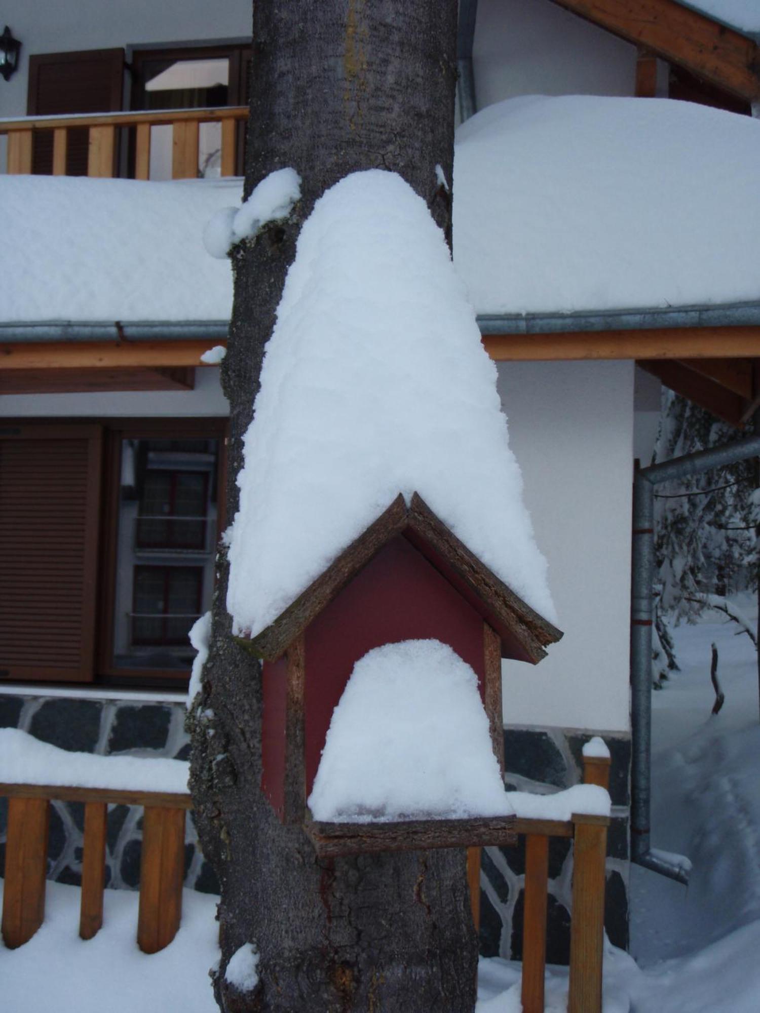 Saint George Holiday Village Borovets Exterior photo