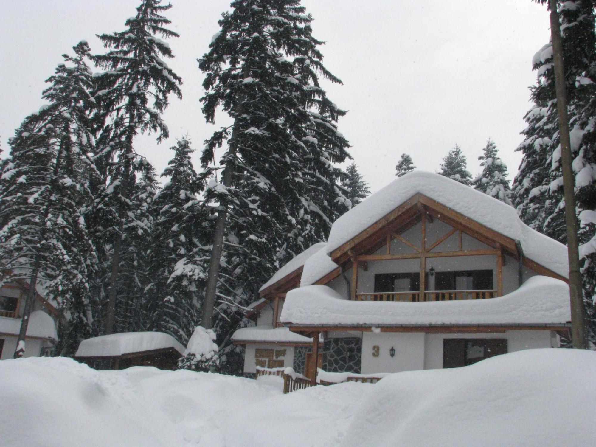 Saint George Holiday Village Borovets Exterior photo