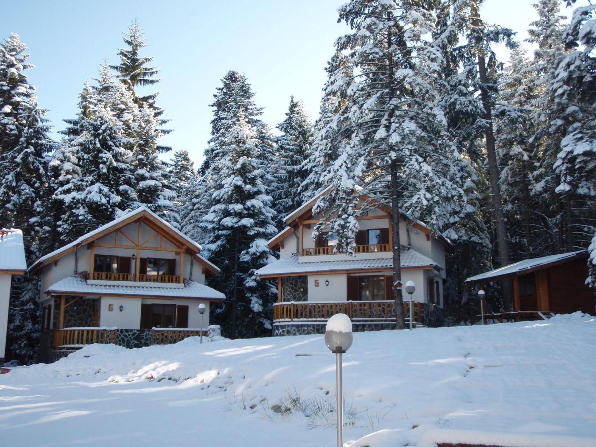 Saint George Holiday Village Borovets Exterior photo